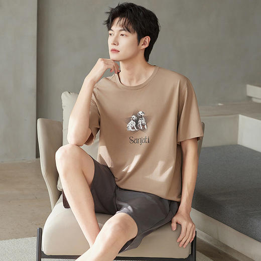 夏季纯棉男士睡衣短袖短裤爽棉宽松休闲可外穿薄款家居服套装新款   JL-5501 商品图3