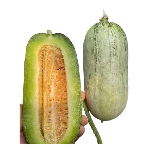 山东博洋72号高甜羊角蜜 2.5斤/ 4斤 脆甜多汁现摘现发  A-5904 商品图0