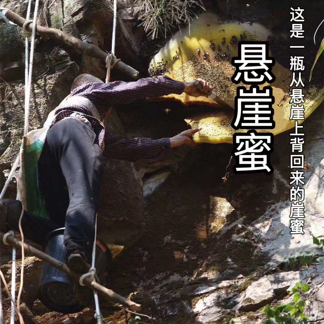 【每家必备】真正的高原崖蜜500克，也是人类能吃到的好的蜜了