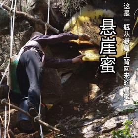 【每家必备】真正的高原崖蜜500克，也是人类能吃到的好的蜜了