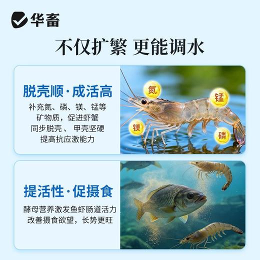 华畜芽孢杆菌发酵伴侣水产调水肥水不发臭调水肥水产养殖益生菌 商品图4
