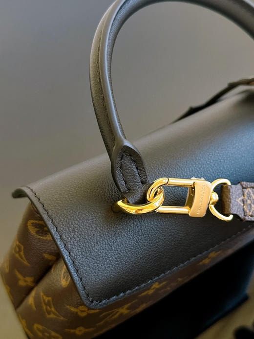 驴家  Madeleine BB 手袋 玛德琳 老花（JPH） 商品图9