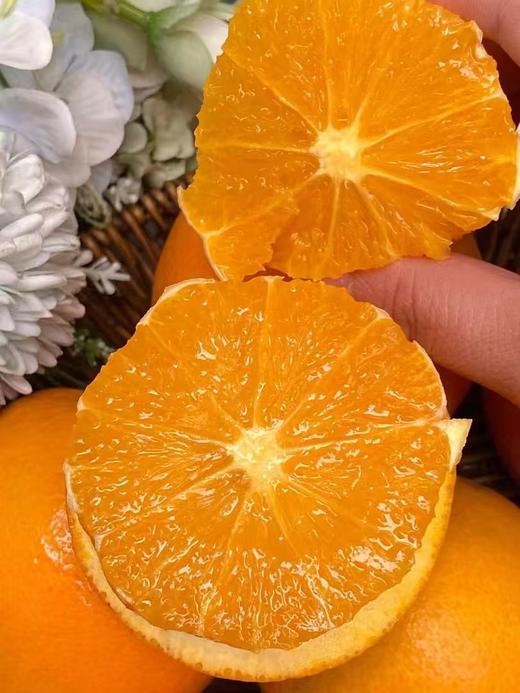 【伦晚橙】花果同枝，自带橙花香气，自然成熟，新鲜采摘，一口咬下去，汁水四溢，化渣无籽，清甜回甘！ 商品图7