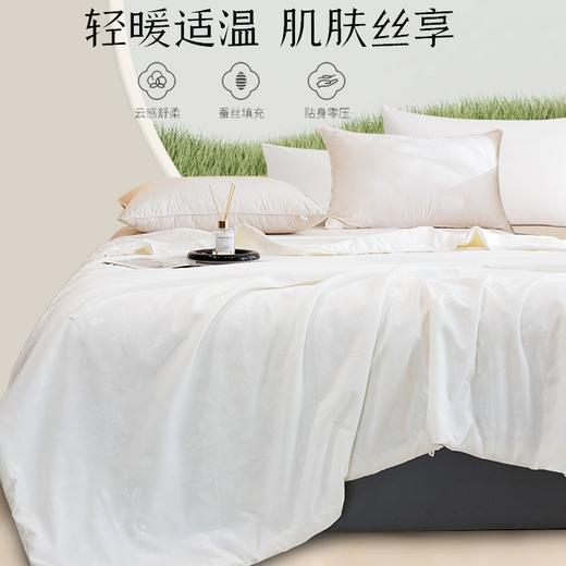 疯抢中！！【送收纳袋+衣架】【有机蚕丝被】面料舒适 丝滑光泽 轻柔无压感 四季适用 1500g 商品图0