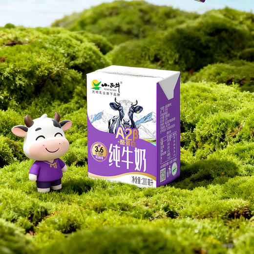 【新品上市】小西牛高原牧场A2β- 酪蛋白纯牛奶3.6g蛋白纯牛奶 200ml*10盒 商品图12