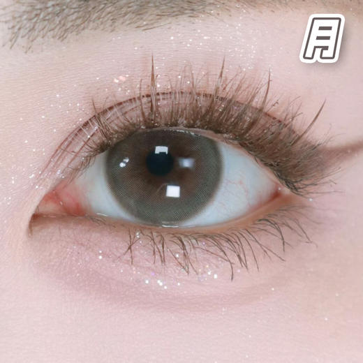 #LM008 声声乌龙 棕 14.2mm 基弧8.7【1片装】国产精品 / 月抛 商品图1