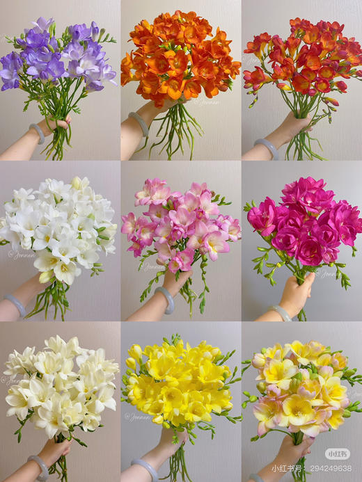 【2026.4.3】特价：1扎A级香雪兰9.9（现货 下单即可到店自提） 商品图0