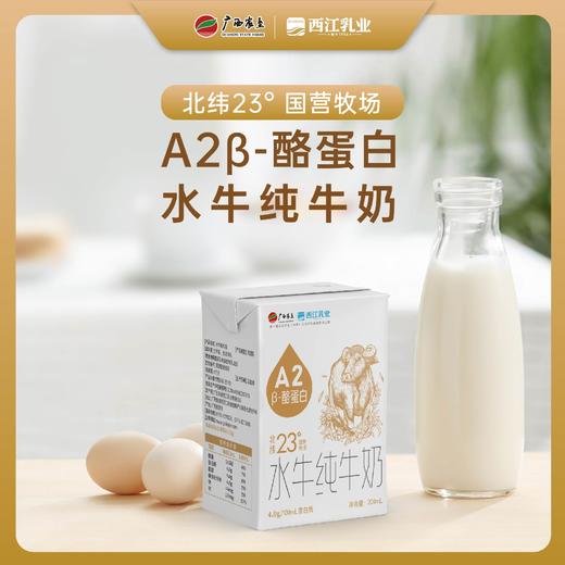 【广西农垦】西江乳业丨A2β酪蛋白水牛纯牛奶  200ml*10盒 商品图1