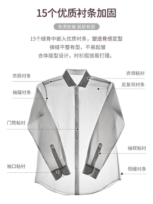 【凌志一号】莫代尔云感长袖衬衫230T0F608L 商品图5