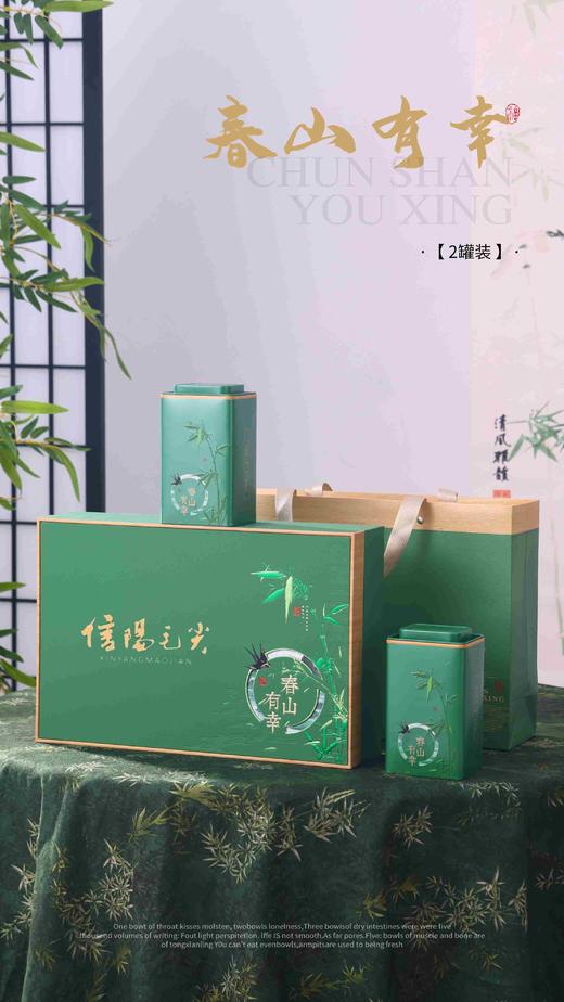 23元/套【春山有幸半斤毛尖.浅绿】一箱20套/一箱460元/整箱包邮 商品图0