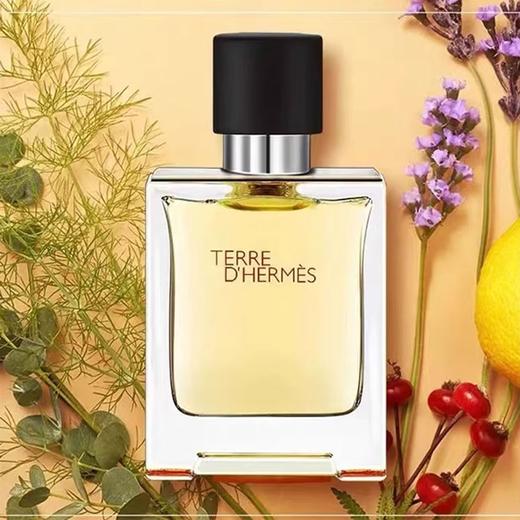 【香水小样合集】圣罗兰自由之水/黑鸦片/反转巴黎/爱马仕大地香水/香奈儿coco小姐/香奈儿5号香水（无喷头） 香港直邮 商品图2