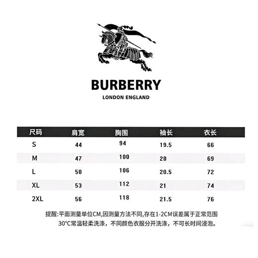 F033148春夏季新款男女同款吸汗透气立体刺绣战马徽标设计两色T恤 商品图12