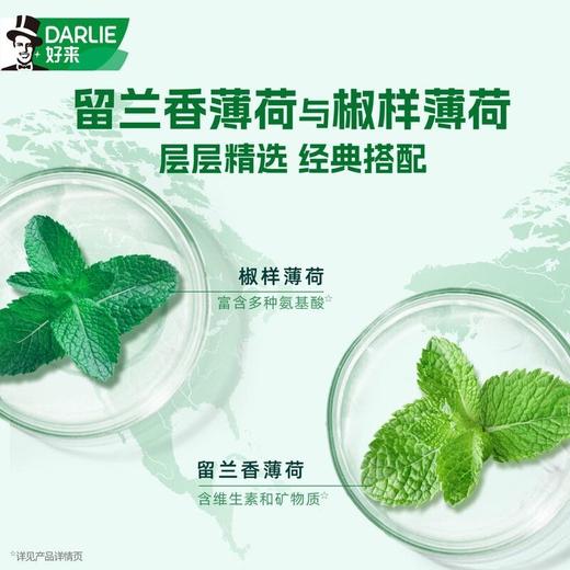好来双重薄荷·多效修护牙膏 80g 3支装 商品图2