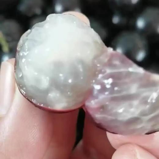 [屁侠推荐]嘉宝果 一口爆浆的树葡萄 长在树上的“黑珍珠” 一果四味 似山竹、芭乐、龙眼、凤梨  商品图3