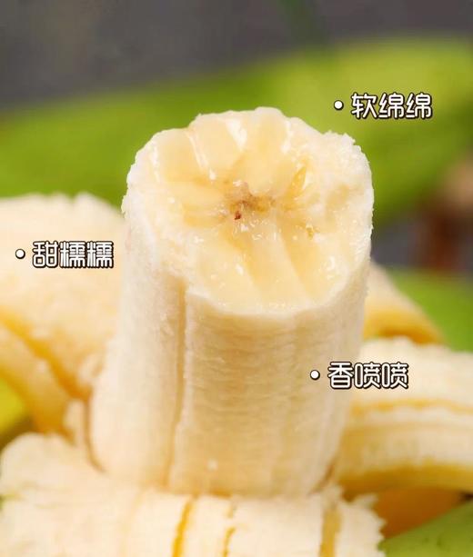 BJQX云南威尼斯香蕉4.5-5斤装【分仓直发，72小时发货，周末节假日不发货】 商品图2