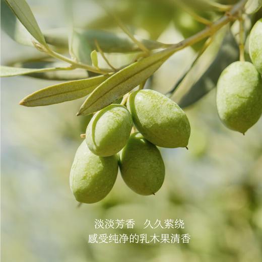 半亩花田乳木果身体磨砂膏135g 商品图2