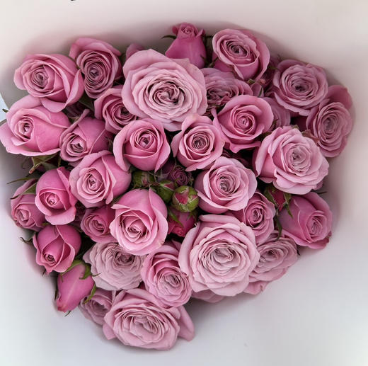 【2026.4.3】特价：5枝A级多头玫瑰19.9～29.9（现货 下单即可到店自提） 商品图10