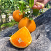 『秭归伦晚脐橙』橙香浓郁，鲜甜爆汁，现摘现发，又名帝王橙 商品缩略图6