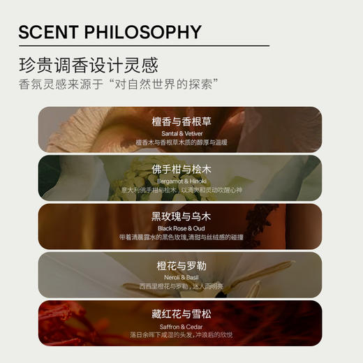 【嗨购珠海专属】美专仓美国SALT&STONEN°1 N°2止汗膏75g/瓶（效期到27年4月以后） 商品图4