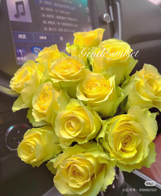 【2026.4.3】特价：1扎10枝基地玫瑰19.9（现货 下单即可到店自提） 商品图3