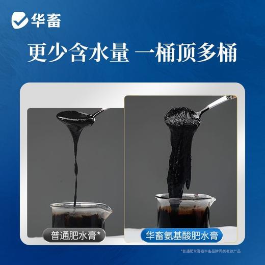 华畜肥水膏浓缩氨基酸肥水鱼虾蟹鱼塘低温肥水膏水产养殖硅藻肥水 商品图2