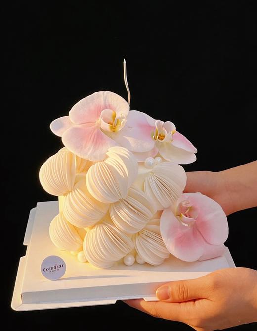 兰馨雅韵 商品图0