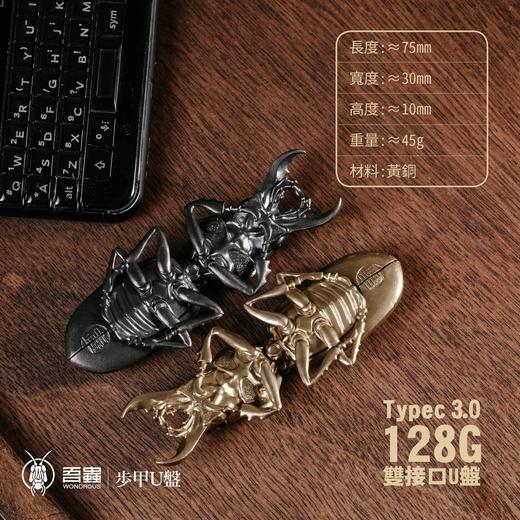 吾蟲- 甲虫U盘 Type-c 3.0 128G金属外壳 挂件存储盘 创意个性礼物【官方授权】【48小时发货】 商品图2
