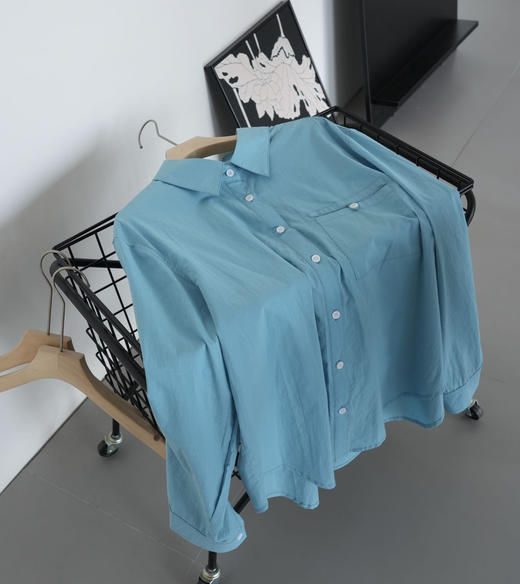 【3-5天发货】伊泺杉瓦尔登湖蓝衬衫 商品图6