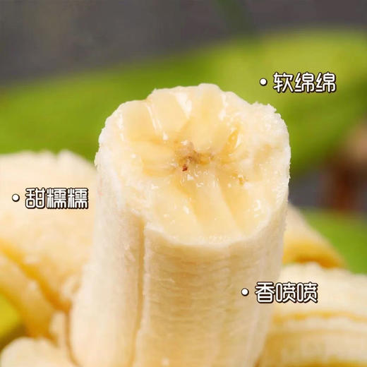 BJQX云南威尼斯香蕉4.5-5斤装【分仓直发，72小时内发货，周末及节假日不发货】 商品图0