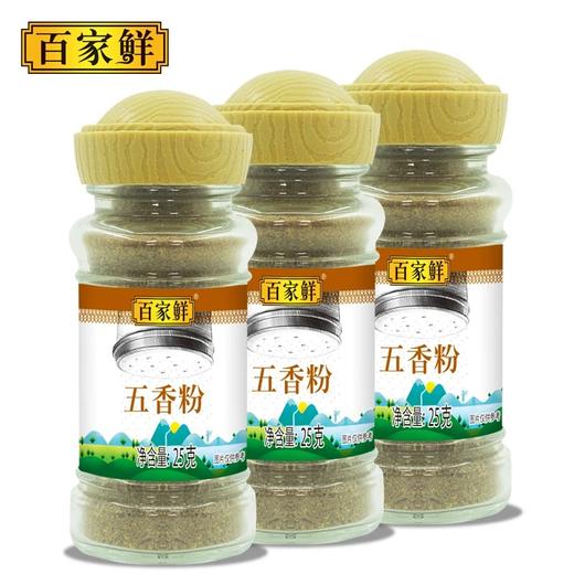 百家鲜五香粉调味料25g厨房增香烧烤炒菜调味料烹饪佐料腌制家用 商品图4