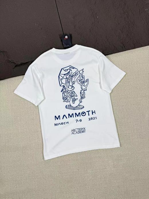 F033141夏季新款户外导湿排汗高弹纯棉透气清爽不黏身亲肤柔软短袖T恤 商品图4