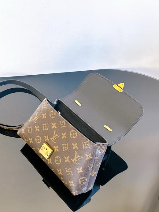 驴家  Madeleine BB 手袋 玛德琳 老花（JPH） 商品图8