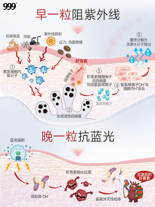 999虾青素凝胶糖果0.7g*30粒/瓶 商品图3