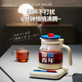 蓝宝 养生壶 养生壶届的颜值顶流 5大精煮模式 304不锈钢底盘 1.2L容量 BP-HP02