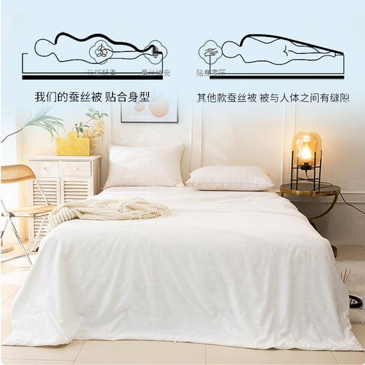 疯抢中！！【送收纳袋+衣架】【有机蚕丝被】面料舒适 丝滑光泽 轻柔无压感 四季适用 1500g 商品图4