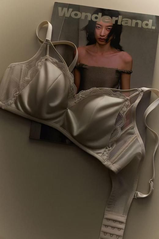猫太推荐----法式蕾丝缎面兔耳蚕丝杯 大胸显小显瘦内衣！ 商品图3