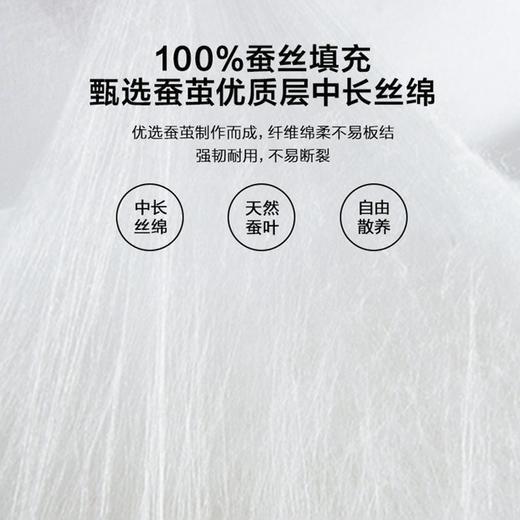 疯抢中！！【送收纳袋+衣架】【有机蚕丝被】面料舒适 丝滑光泽 轻柔无压感 四季适用 1500g 商品图7