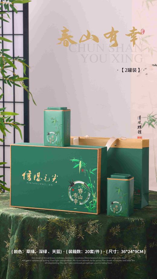 23元/套【春山有幸半斤毛尖.墨绿】一箱20套/一箱460元/整箱包邮 商品图0