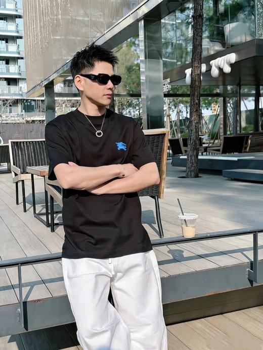 F033148春夏季新款男女同款吸汗透气立体刺绣战马徽标设计两色T恤 商品图8