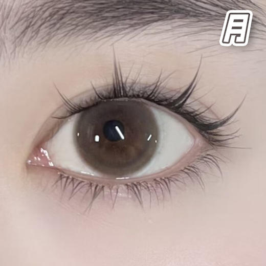 #LM008 声声乌龙 棕 14.2mm 基弧8.7【1片装】国产精品 / 月抛 商品图0