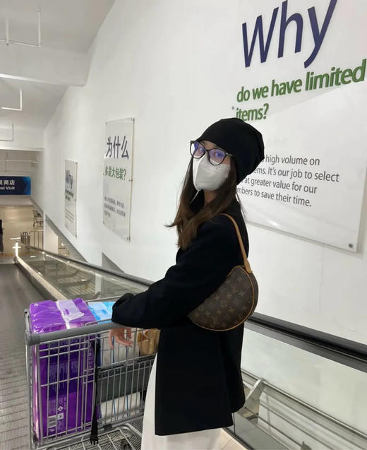 LV 老花 小号 豌豆 单肩包 商品图1