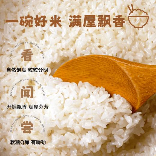 香畴石板生态大米 | 500g/2.5kg 东北火山岩稻田 香甜软弹有回甘 冷饭不回生 粳米一级 谦益农业 商品图2