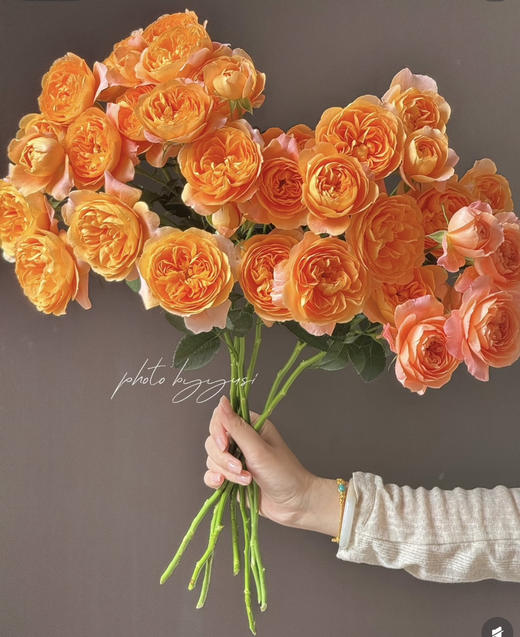 【2026.4.3】特价：5枝A级多头玫瑰19.9～29.9（现货 下单即可到店自提） 商品图6