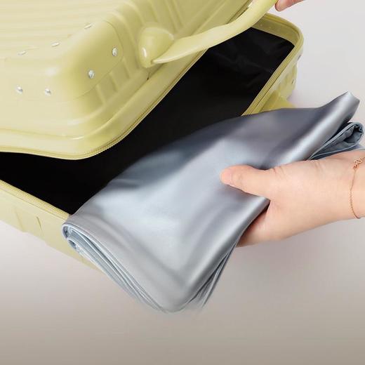 桑蚕丝时尚真丝单面枕套 商品图2