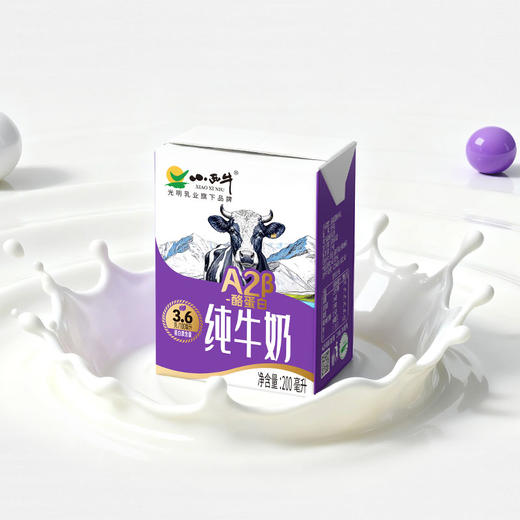 【新品上市】小西牛高原牧场A2β- 酪蛋白纯牛奶3.6g蛋白纯牛奶 200ml*10盒 商品图5