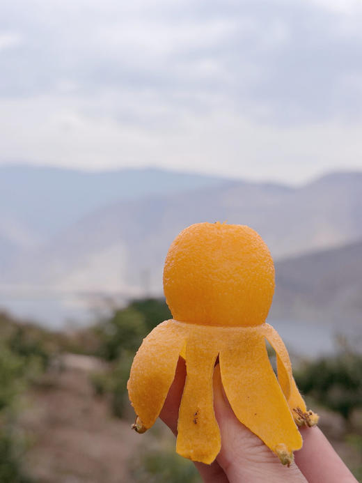 云山清韵|『高山枇杷』✨能咬出山泉甜的“春日金果”，枇杷界的“高山蜜丸” 商品图7