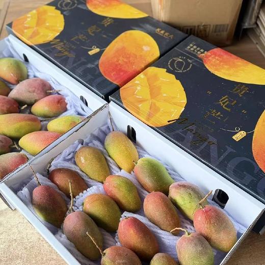 空运~海南树熟贵妃芒：超甜，味很浓。 商品图2