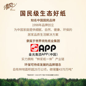 清风抽纸挂抽4层300抽*4提 wiggle 悬挂式纸巾擦手纸整箱卫生纸 /家庭清洁/纸品 /清洁纸品 /抽纸