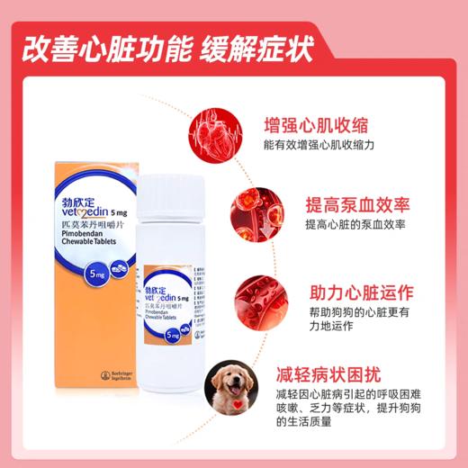 勃欣定匹莫苯丹心脏心衰肥大增强心肌强心药德国进口 商品图2