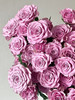【2026.4.3】特价：5枝A级多头玫瑰19.9～29.9（现货 下单即可到店自提） 商品缩略图7